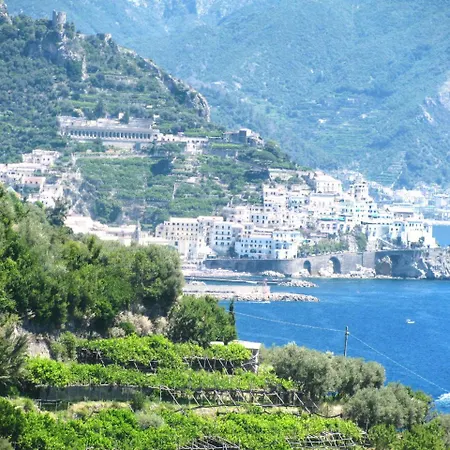 Il Pettirosso