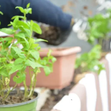 Il Pettirosso * Agerola