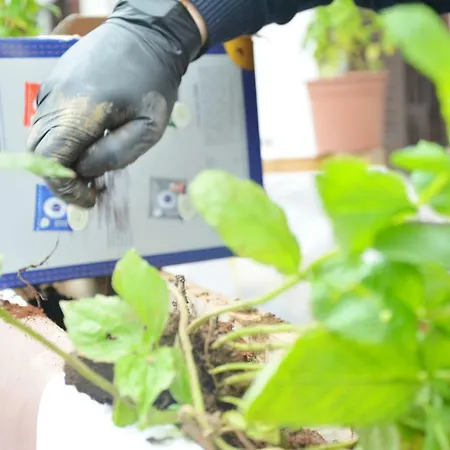 Il Pettirosso * Agerola