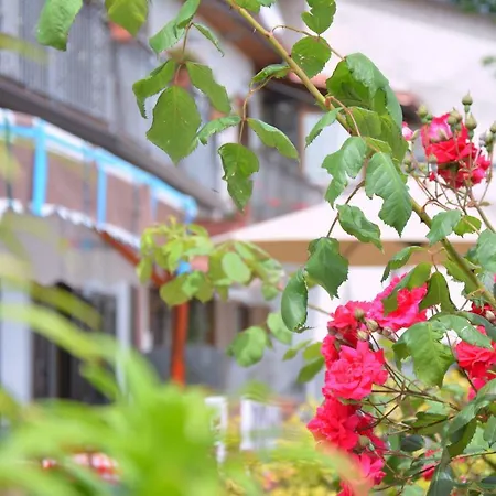 Il Pettirosso Agerola