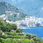 Il Pettirosso