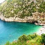 Il Pettirosso