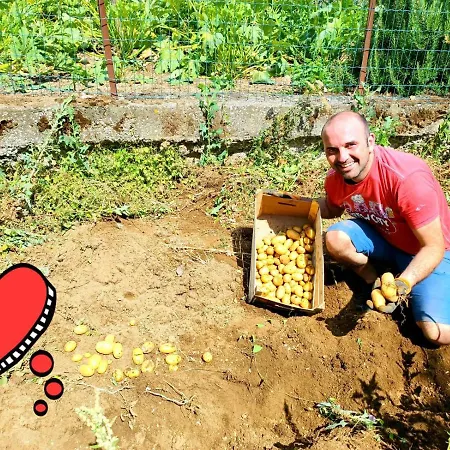 Il Pettirosso Agerola