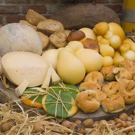 Vakantieboerderij Il Pettirosso
