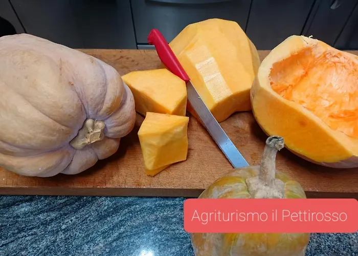 Il Pettirosso Otel *