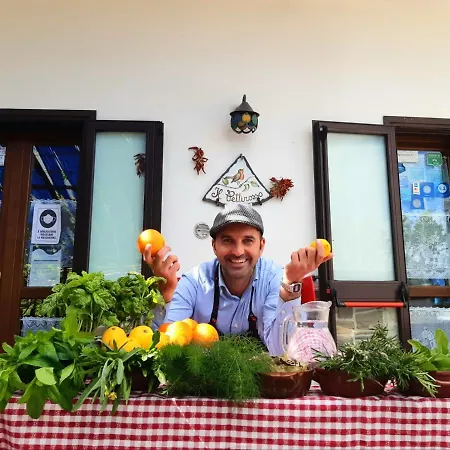 Farm stay Il Pettirosso Agerola